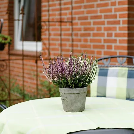 Prázdninový dům Modern Holiday Home In Beckendorf Germany With Terrace Hermannsburg